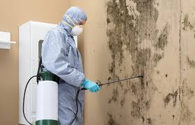  Geneva, AL Mold Inspection Pros